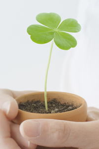 行政書士業務範囲の法務相談