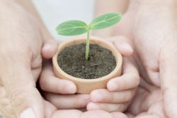 �����葱���Ƃ́H